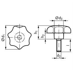 Sterngriffschraube ähnlich DIN 6336 Ausführung ST Ø50mm M10 x 45 , Technische Zeichnung