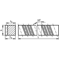 Schrägverzahnte Zahnstange aus Ms 58 Modul 0,5 Breite 10mm Höhe 4mm Länge 500mm 20° linkssteigend , Technische Zeichnung