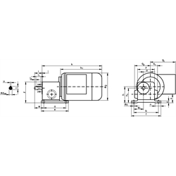 Schneckengetriebemotor RL 90 Watt 230/400V 50Hz IE1 i=1500:1 Abtriebsdrehzahl ca. 0,9 /min zulässiges Md2=7,1Nm (Betriebsanleitung im Internet unter www.maedler.de im Bereich Downloads), Technische Zeichnung