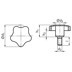 Sterngriffschraube 5334 Durchmesser 60mm Gewinde M12 x 40mm Edelstahl 1.4301, Technische Zeichnung