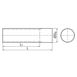 Zahnwelle Profil AT10 22 Zähne Länge 160mm Material 1.4305, Technische Zeichnung